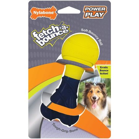 Nylabone Power Play Fetch-a-Bounce Rubber 5 Inch Dog Toy